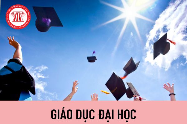 đại học