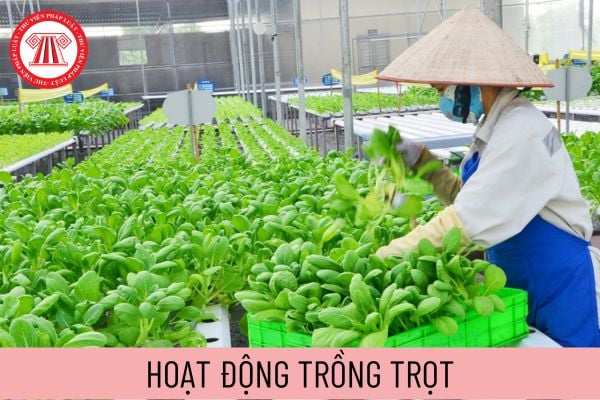 hoạt động trồng trọt