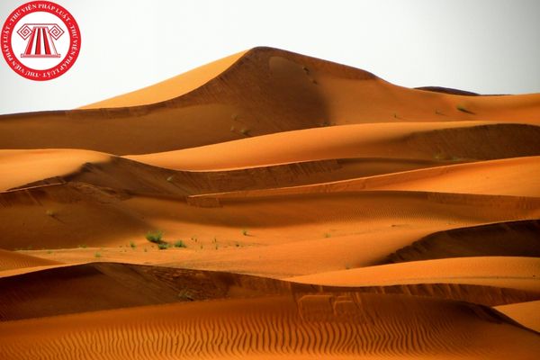 Sa mạc