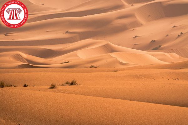 Sa mạc hóa
