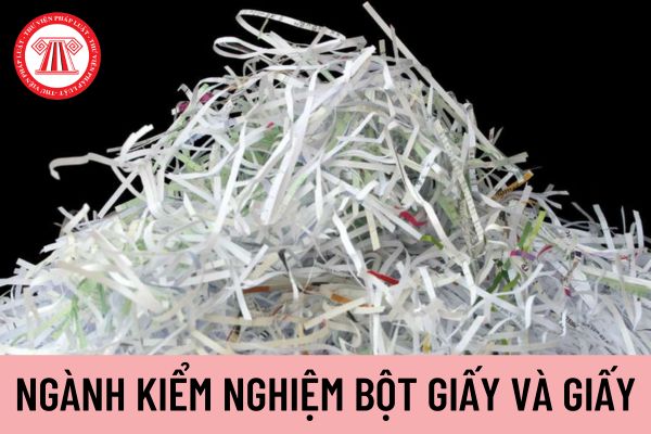 bột giấy