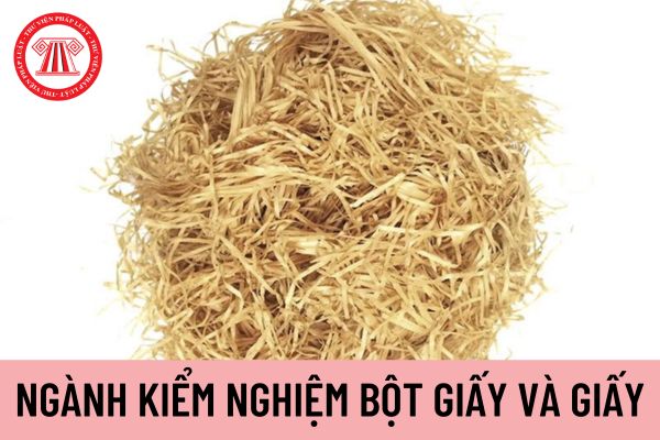 bột giấy