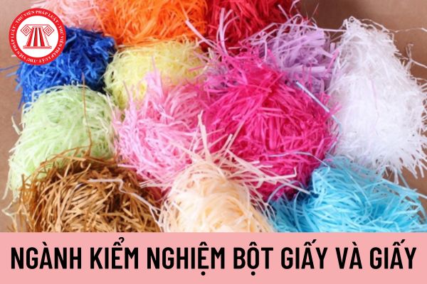 bột giấy