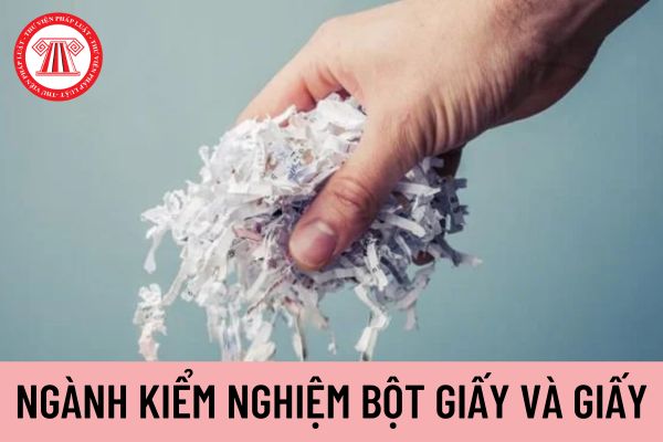 bột giấy