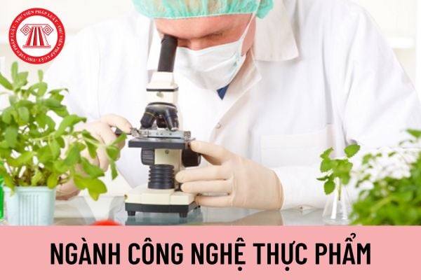 thực phẩm