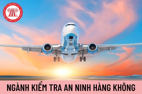 kiểm tra an ninh hàng không