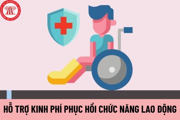 phục hồi chức năng lao động