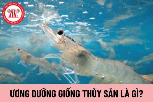 ương dưỡng giống thủy sản