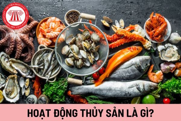 hoạt động thủy sản