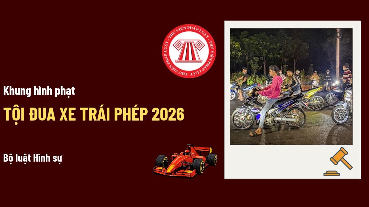 Pháp luật