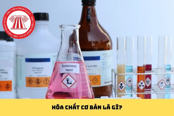 Pháp luật