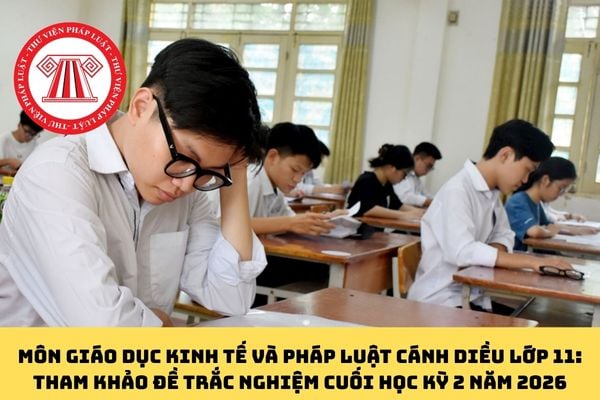 Pháp luật