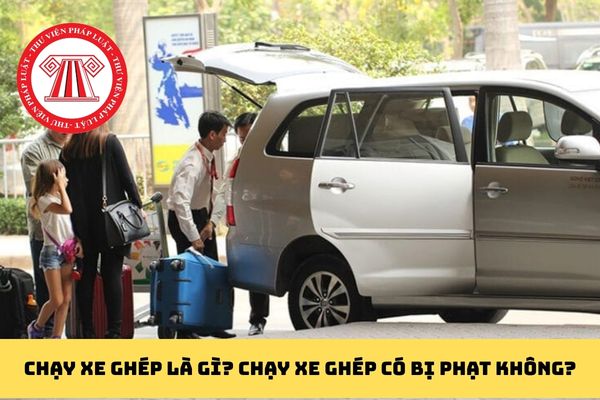 Pháp luật