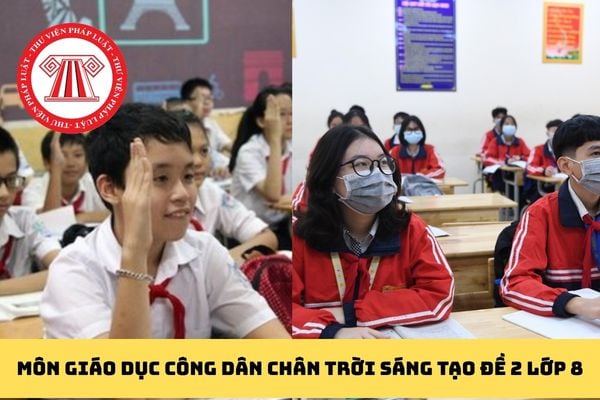 Pháp luật