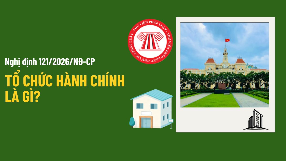 Pháp luật