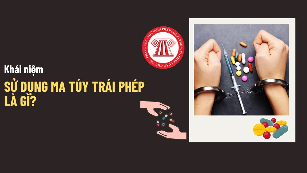 Pháp luật