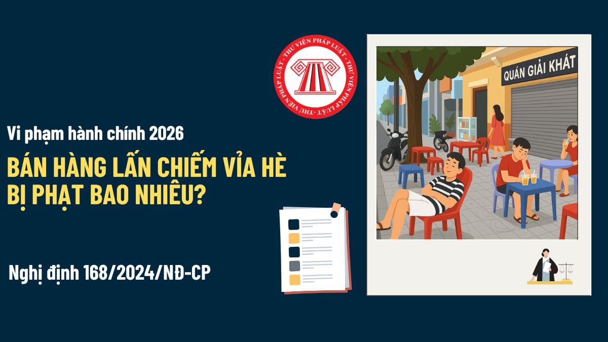 Pháp luật