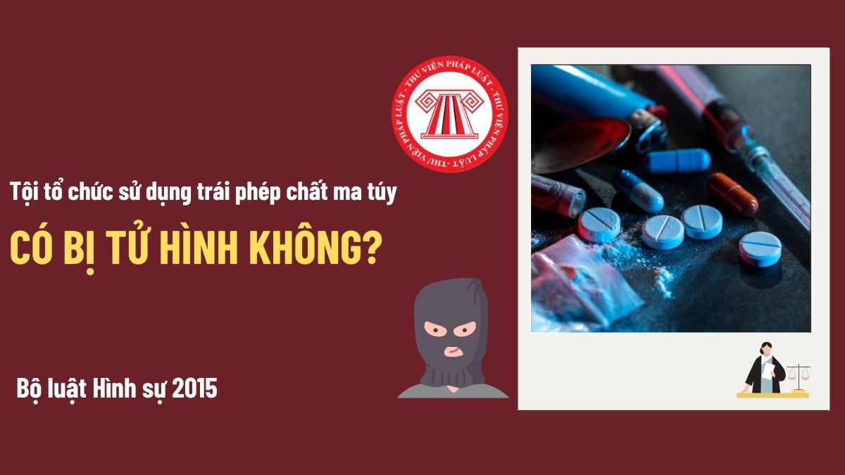 Pháp luật