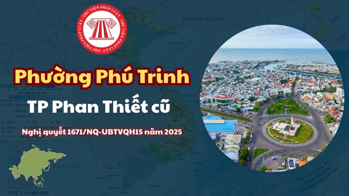 Pháp luật