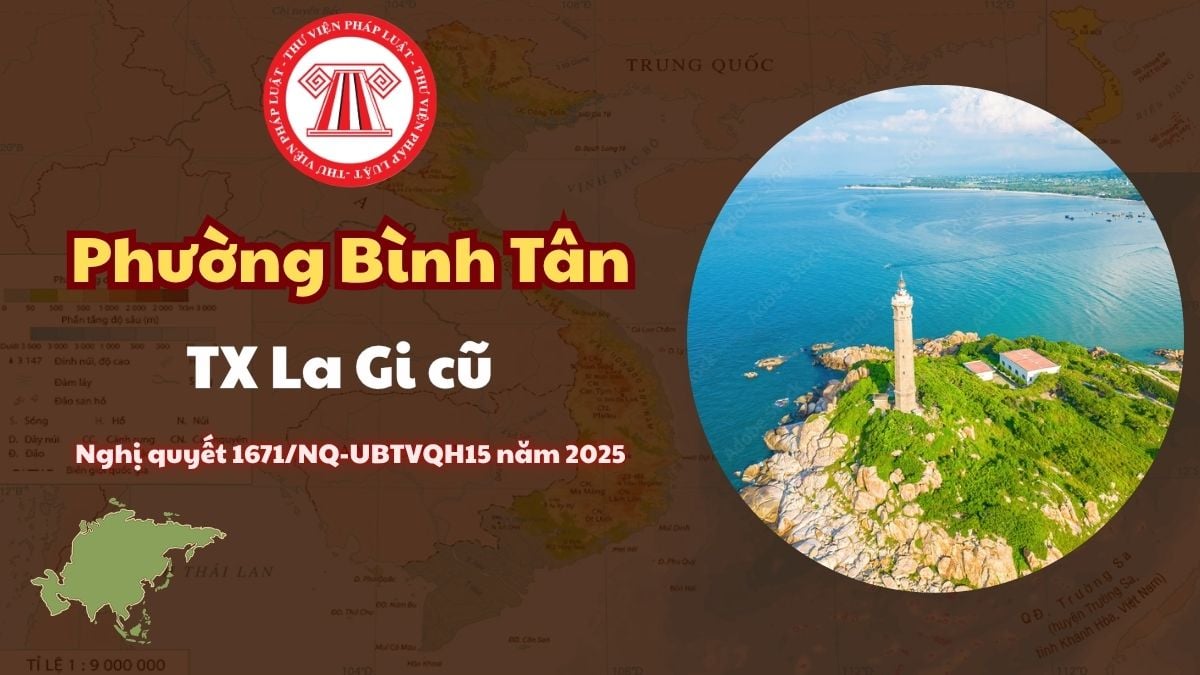 Pháp luật