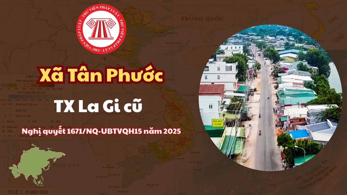 Pháp luật