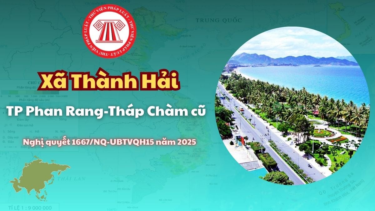 Pháp luật