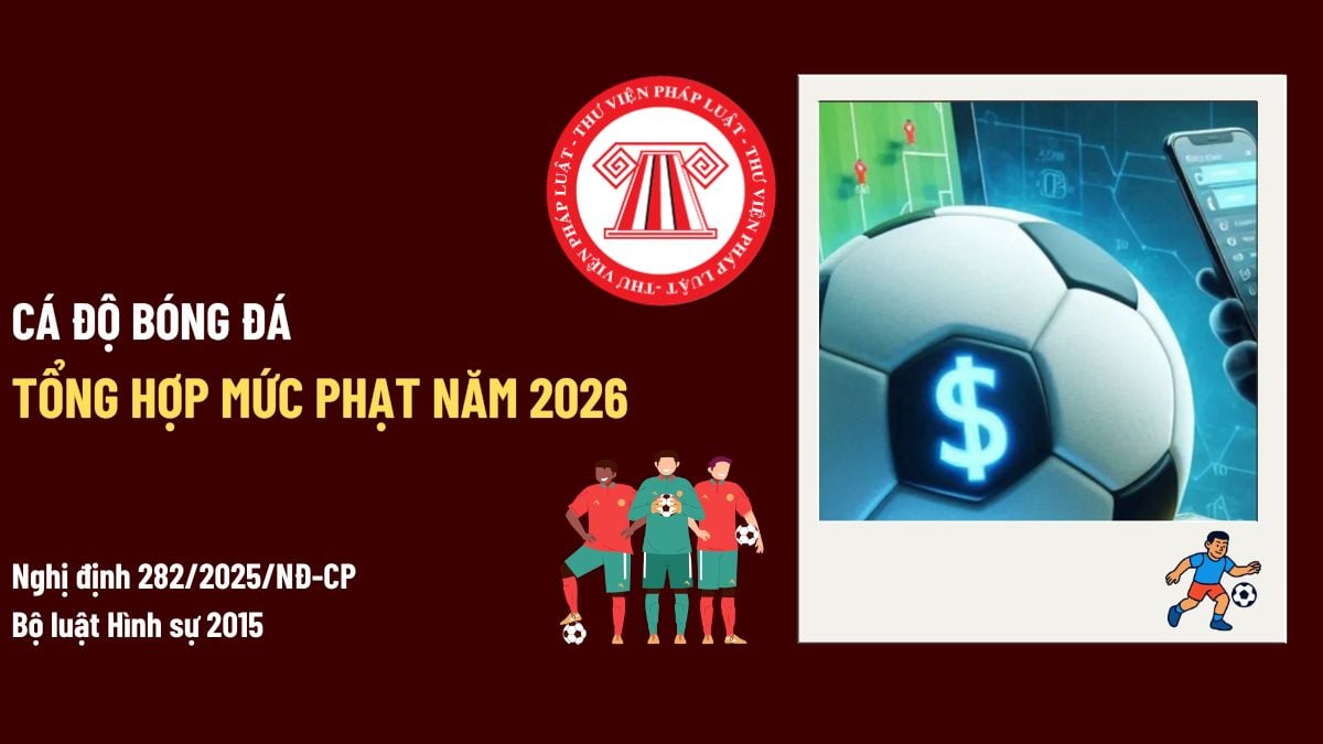 Pháp luật