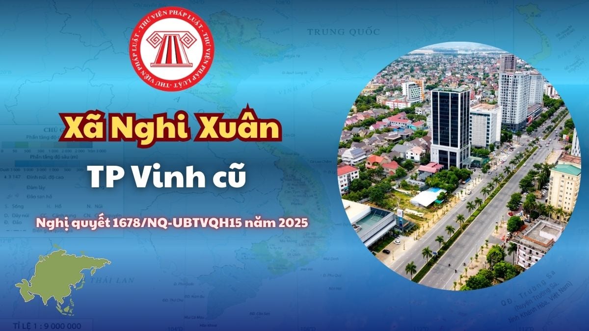 Pháp luật