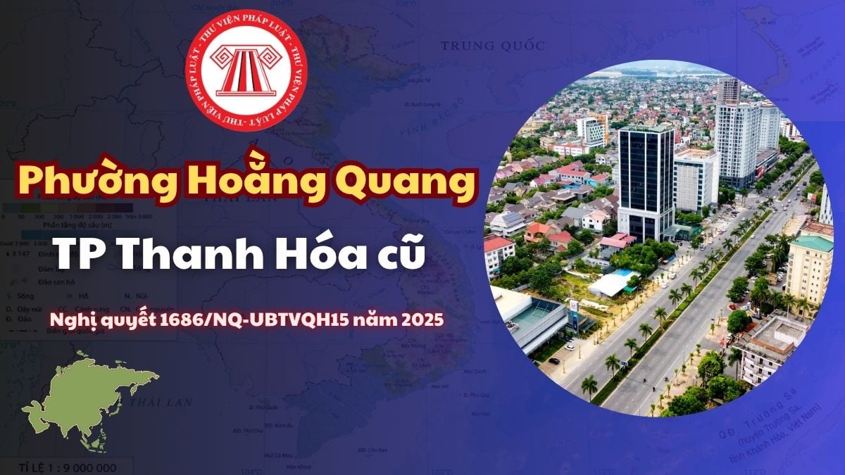 Pháp luật