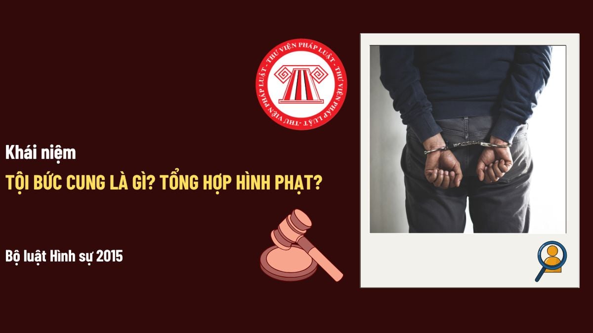 Pháp luật