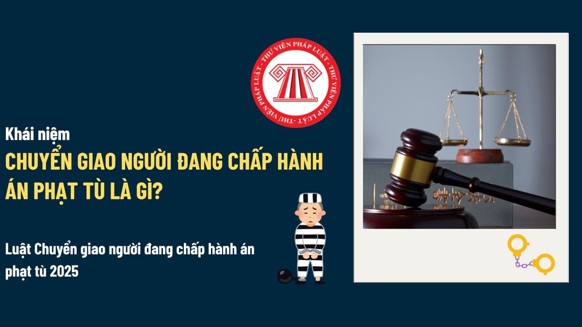 Pháp luật