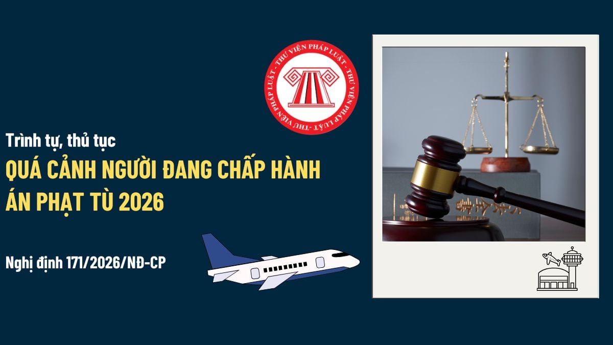 Pháp luật