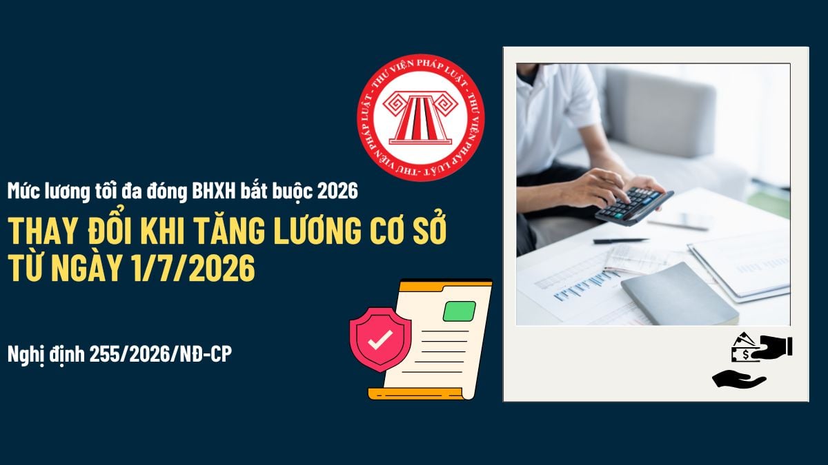 Pháp luật