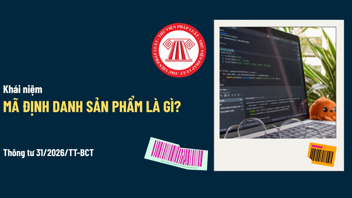 Pháp luật
