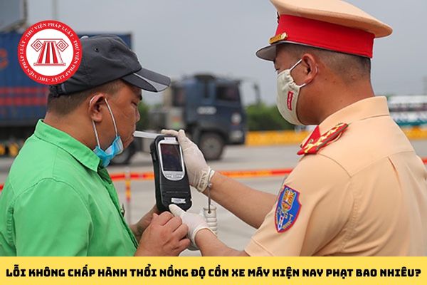 Pháp luật