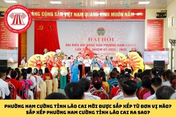 Pháp luật