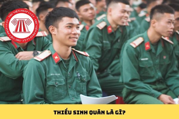 Pháp luật