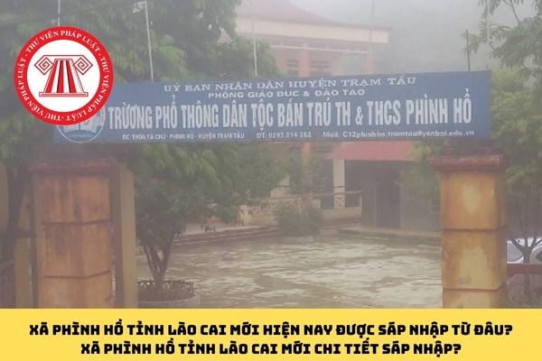 Pháp luật