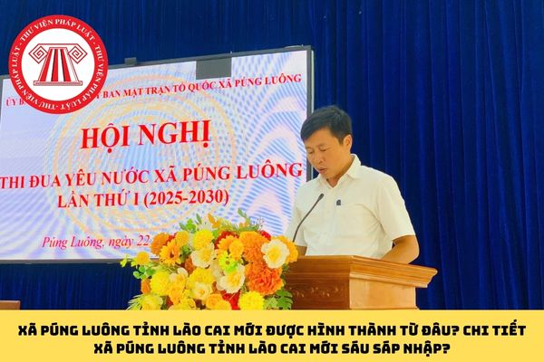Pháp luật