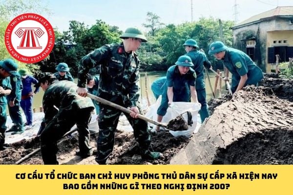Pháp luật
