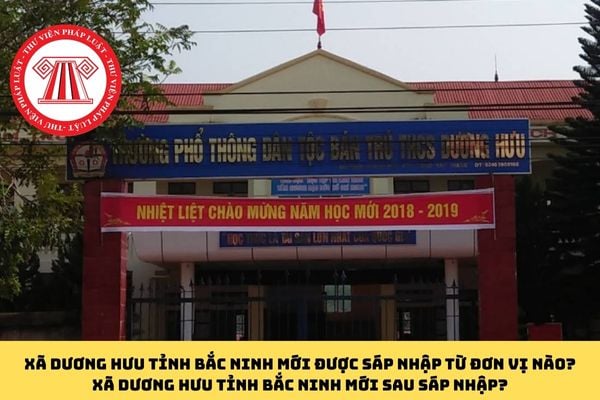 Pháp luật
