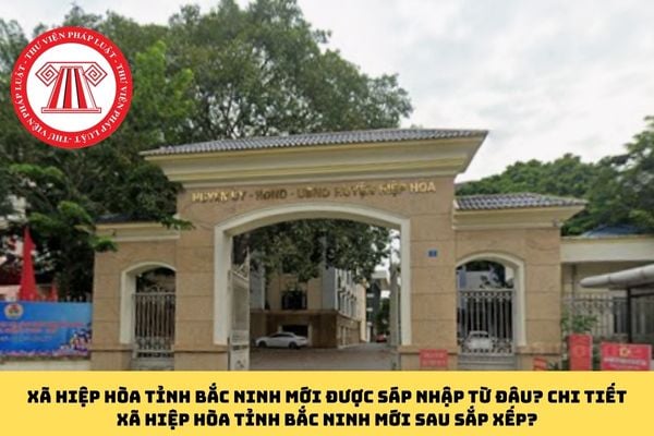 Pháp luật