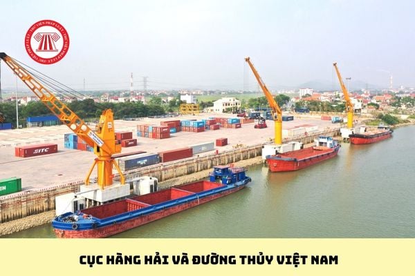 Pháp luật