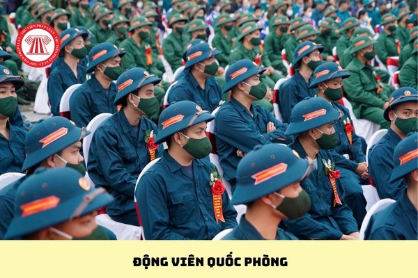 Pháp luật