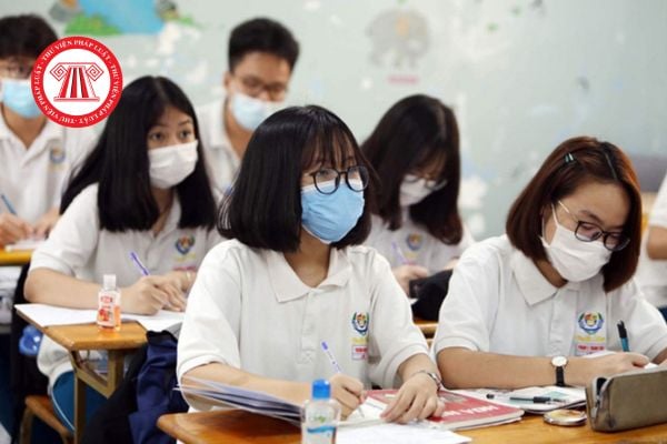 Pháp luật
