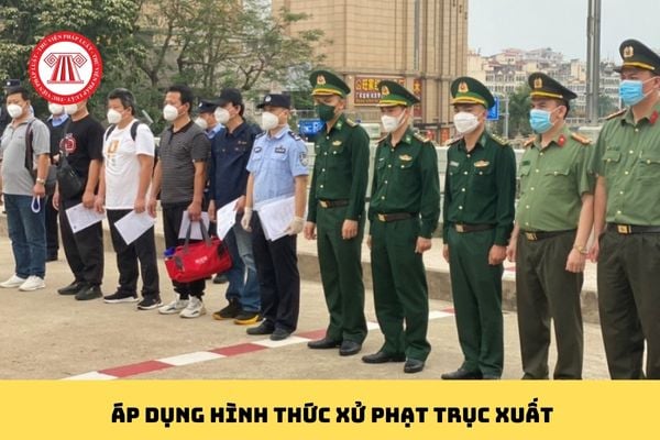 Pháp luật