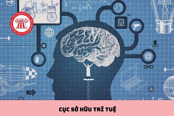 Pháp luật