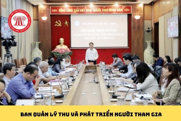 Pháp luật