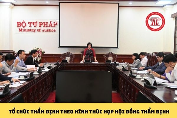 Pháp luật