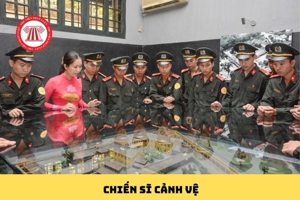 Pháp luật